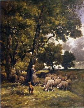 Sheep 167
